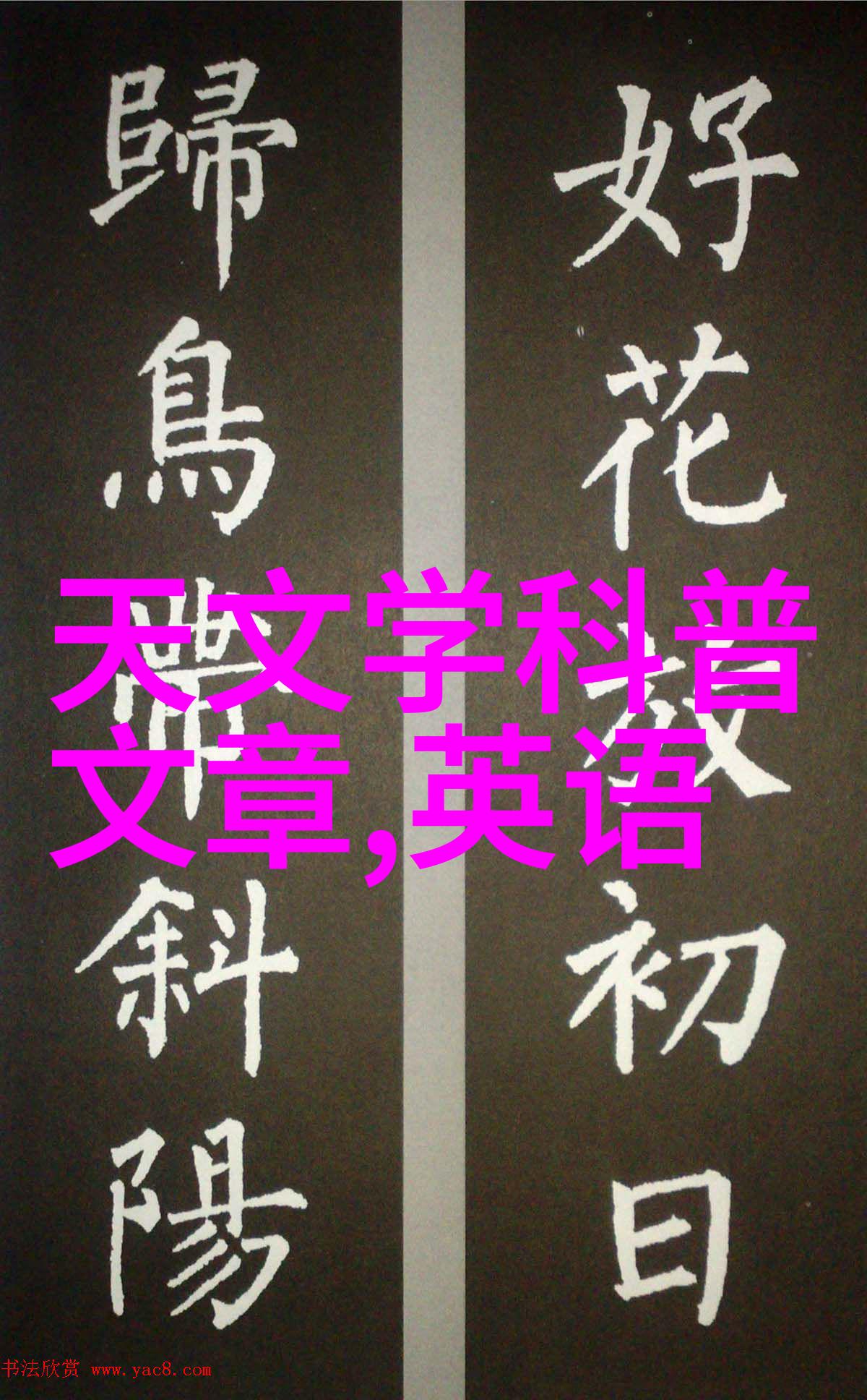 家居装修中最常用的窗帘洗涤要点全解析